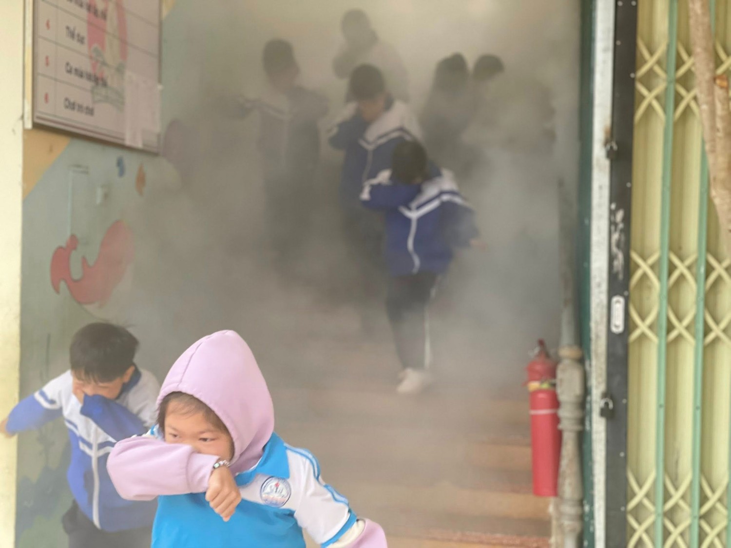 Hoạt động chuyên môn