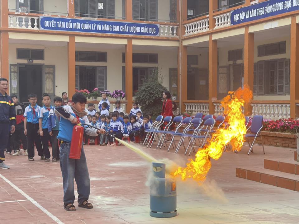 Hoạt động chuyên môn