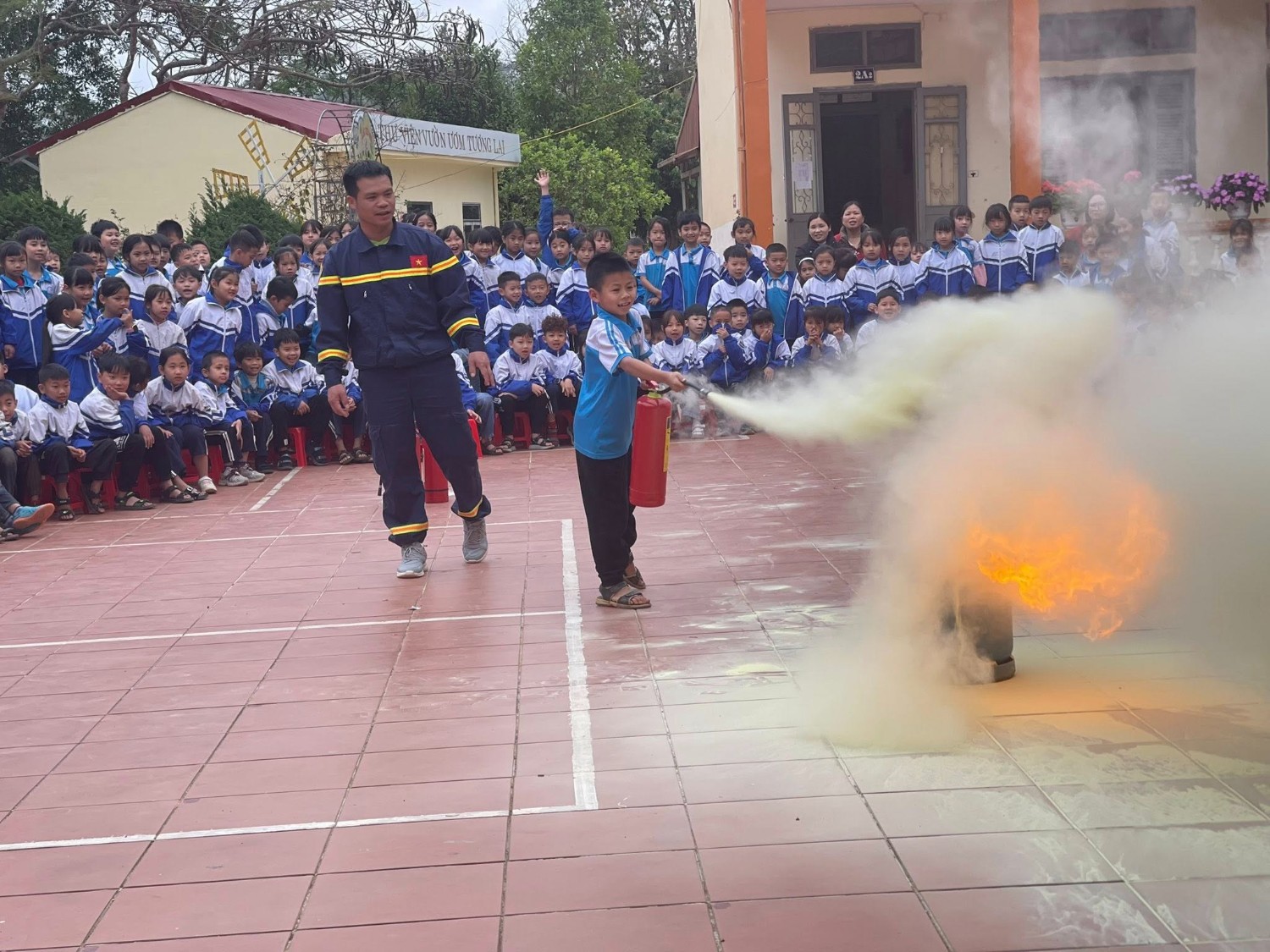 Hoạt động chuyên môn